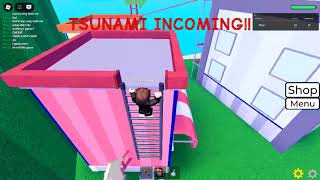 Playing Roblox 