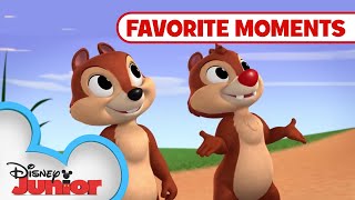 Nutty Tales Compilation! Part 1 | Chip 'N Dale's Nutty Tales | Disney Junior