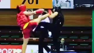 Wushu Shaolin Kung Fu 武术少林 - People Are Awesome Compilation