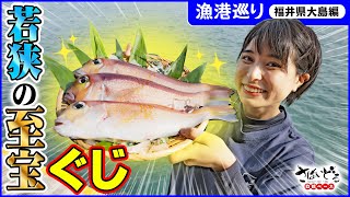 【若狭ぐじ】最高級魚「アマダイ」をかほなんが捌く！超絶品の刺身を味わう中で、予想外の出来事が発生！？【漁港巡り 福井県大島編】