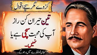 3 Heran Kun Raaz Kya Aap Ki Mohabbat Sachi Hai Ya Nahe | Deep Quotes | Allama Iqbal Quotes