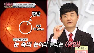 ⧛소리 없는 시력 도둑⧚ 녹내장 \u0026 황반변성  [내 몸 플러스] 191회 20200405