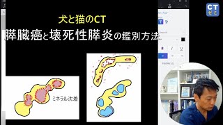 犬と猫のCT　膵臓癌と壊死性膵炎の判別方法（8分47秒）