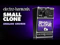 Electro-Harmonix Small Clone Analog Chorus Pedal (Demo by JJ Tanis)