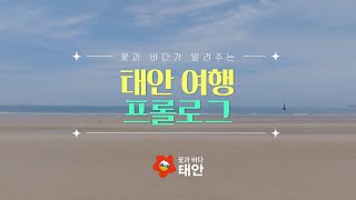 태안군 여름철 관광 홍보영상1