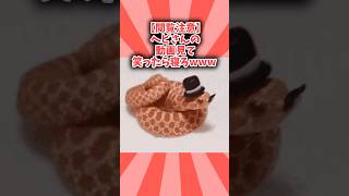 【閲覧注意】ヘビさんの動画見て笑ったら寝ろwwwwwwww