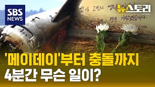 새떼? 로컬라이저? 피해 키운 이유는.. (뉴스토리) / SBS