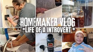 REALISTIC LIFE OF A INTROVERT/HOMEMAKING MOTIVATION VLOG/DIY/VERY PRODUCTIVE 2025!