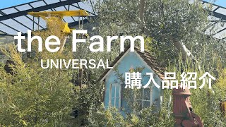 【観葉植物】イベントがあったのでお目当ての植物を買いに〜the Farm UNIVERSAL大阪〜/購入品紹介