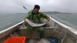 阿雄趁大风浪出海，收获大鱼和螃蟹，偶遇粉丝请他们吃海鲜