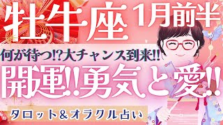 【牡牛座】最高過ぎるっ!!!対人運!!! 見逃さないでください👀💕 新ステージへ移行中🕊️ ✨【仕事運/対人運/家庭運/恋愛運/全体運】1月運勢  タロット占い