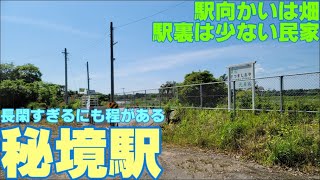 【木々のトンネルを抜ける駅】　秘境駅　電車の旅　無人駅　薩摩塩屋駅（鹿児島県南九州市）