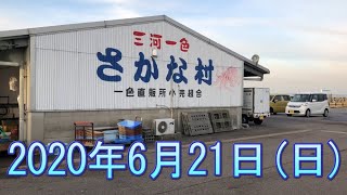 一色さかな村の風景＠2020年6月21日＠愛知県西尾市一色町の魚市場