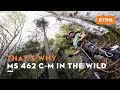 STIHL MS 462 C-M | A chainsaw-test in the wild | That's why