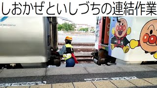 【連結】アンパンマン列車の外観といしづちとの連結作業を多度津で撮影。