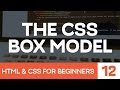 HTML & CSS for Beginners Part 12: The CSS Box Model - Margin, Borders & Padding explained