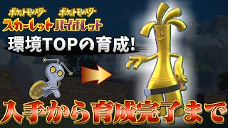 【サーフゴー 育成論 ポケモンsv】コレクレー箱フォルムの場所から最強サーフゴーの育成方法と育成論の紹介！(ポケモンスカーレットバイオレット)