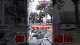 妹妹走石頭「滑倒跌入水坑」 爸錄影不救狂笑：早就提醒！#shorts