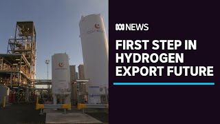 Hydrogen produced from brown coal in Gippsland in Australian first | ABC News