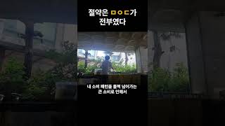 카드값 370만원 쓰고 깨달은 것