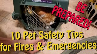 10 Tips for Pet Owners for Fire Evacuation or Emergency - BE PREPARED!