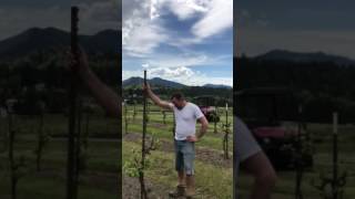 Meet Marc Girardet of Girardet Vineyards