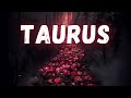 TAURUS  IN FEW HOURS SOMEONE WILL TELL THIS !! YOU’RE NOT GOING TO BELIEVE…LISTEN CAREFULLY😍