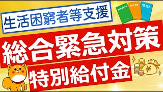 【生活困窮者等への支援】総合緊急対策について解説