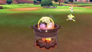 【ポケモン剣盾】ジラーチをカレーでおもてなし！