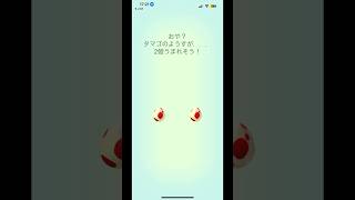 【ポケモンGO】12kmタマゴ孵化2連