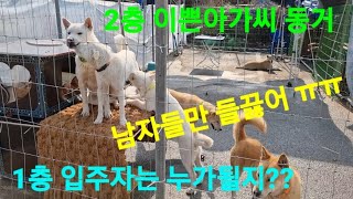 2층은 젊은것들 동거,1층은 누가 입주할지