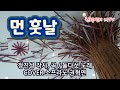 먼 훗날 / 정진성 작사, 곡 / 둘다섯 노래 / COVER 소프라노 권혁연