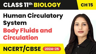 Human Circulatory System - Body Fluids and Circulation | Class 11 Biology Chapter 15 | CBSE 2024-25