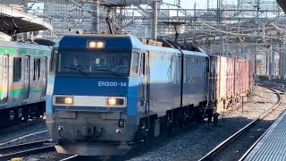 【コンテナ満載！ジョイント音最高！】JR貨物EH200形14号機＋コキ13B（両）が大宮駅10番線を超低速通過するシーン（6083レ・高A221・コンテナ輸送）2025.1.10