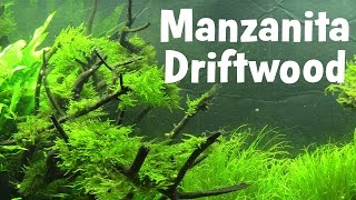 Best Aquarium Driftwood: Manzanita Driftwood Overview