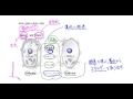 中学理科解説動画：細胞２