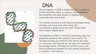 Hydrogen Bonding Dna And Lipids