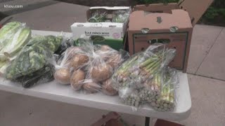 Wholesale food company gives families big box of fresh food for only $5