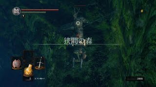 『黒騎士の斧槍』レアドロップ　  ダークソウル1　DARK SOULS REMASTERED_20230317141417