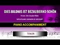 Dies Bildnis ist bezaubernd schön / Karaoke piano / Wolfgang Amadeus Mozart / Tenor