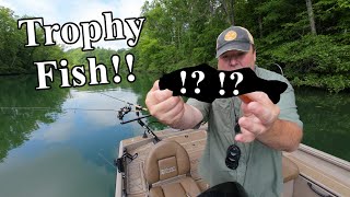 I Caught An Unexpected Small Trophy Fish Drifting Shiners In River!!!