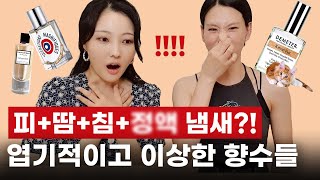 괴랄한 향수들 리뷰! 인간의 분비물 냄새, 고양이 털 냄새 등😱위대한 분비물,키튼퍼 등 | 미지의세계 MIJI