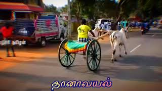 💥Rekla race 💥 WhatsApp status #sivagangai#rekla