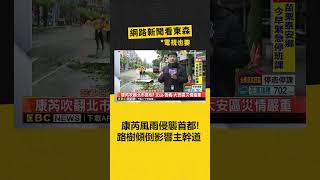 康芮風雨侵襲首都！破2千顆路樹傾倒 影響主幹道 ‪ @newsebc