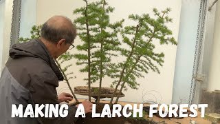 Making A Larch Forest