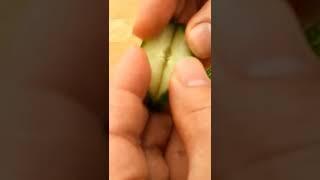 Easy cucumber design making flowers with easy cuts   #shorts #cucumber #cucumberflower