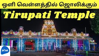 Tirupati Temple Shining with Colored Lights |ஒளி வெள்ளத்தில் திருப்பதி கோவில்|Tamil|Master Mano|V245