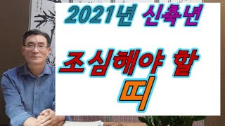 2021년 신축년 소띠해에 조심,또 조심해야할 띠? 말띠,용띠,양띠,개띠, 2021년운세