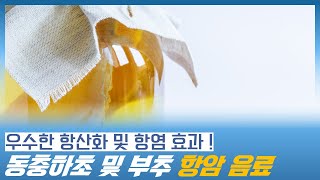 우수한 항산화 및 항염효과 동충하초 및 부추 기반 항암 음료 (동충하초 음료, 건강음료 제조)