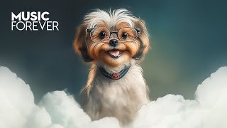 Ultimate Retro Disco Music Mix | Funky Dance Classics | Music Forever